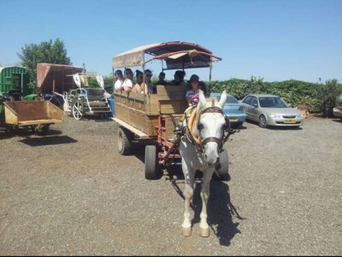 החווה הצ'רקסית